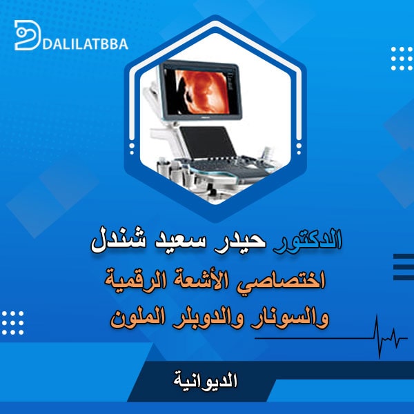 دكتور حيدر سعيد شندل